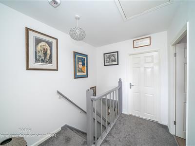 Picture 17